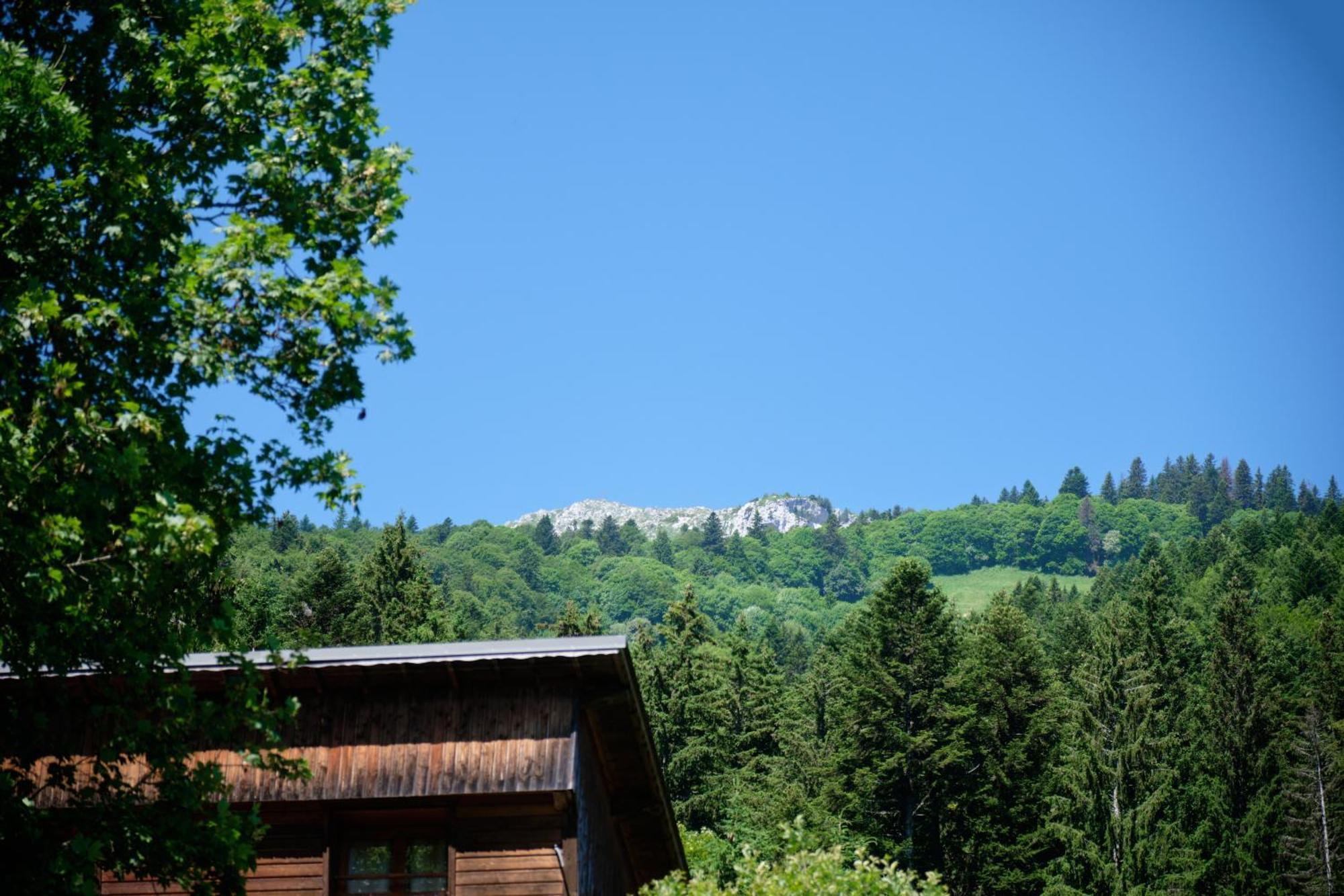 Chalet Le Lys Martagon Saint-Pierre-d'Entremont  エクステリア 写真
